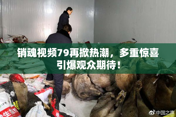 销魂视频79再掀热潮，多重惊喜引爆观众期待！