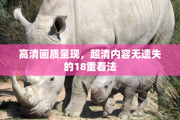 高清画质呈现，超清内容无遗失的18重看法