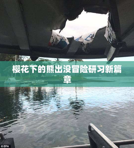 樱花下的熊出没冒险研习新篇章