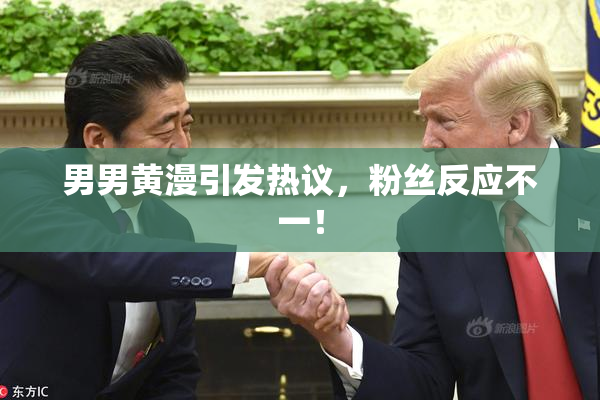 男男黄漫引发热议，粉丝反应不一！