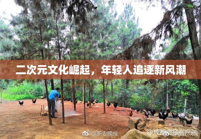 二次元文化崛起，年轻人追逐新风潮