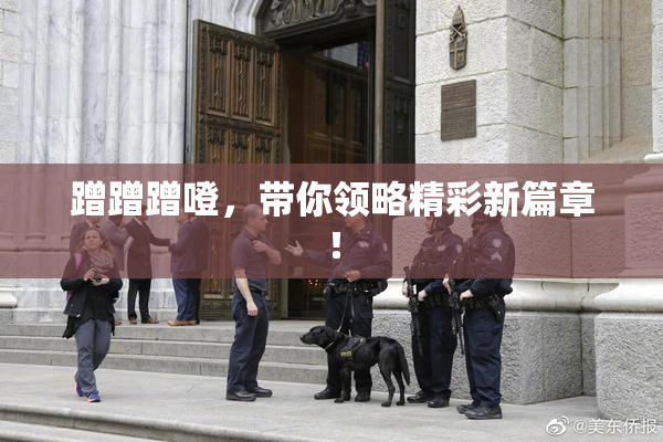 蹭蹭蹭噔，带你领略精彩新篇章！