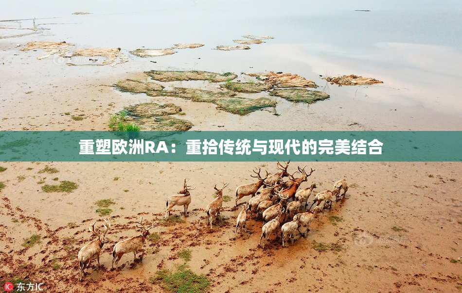 重塑欧洲RA：重拾传统与现代的完美结合