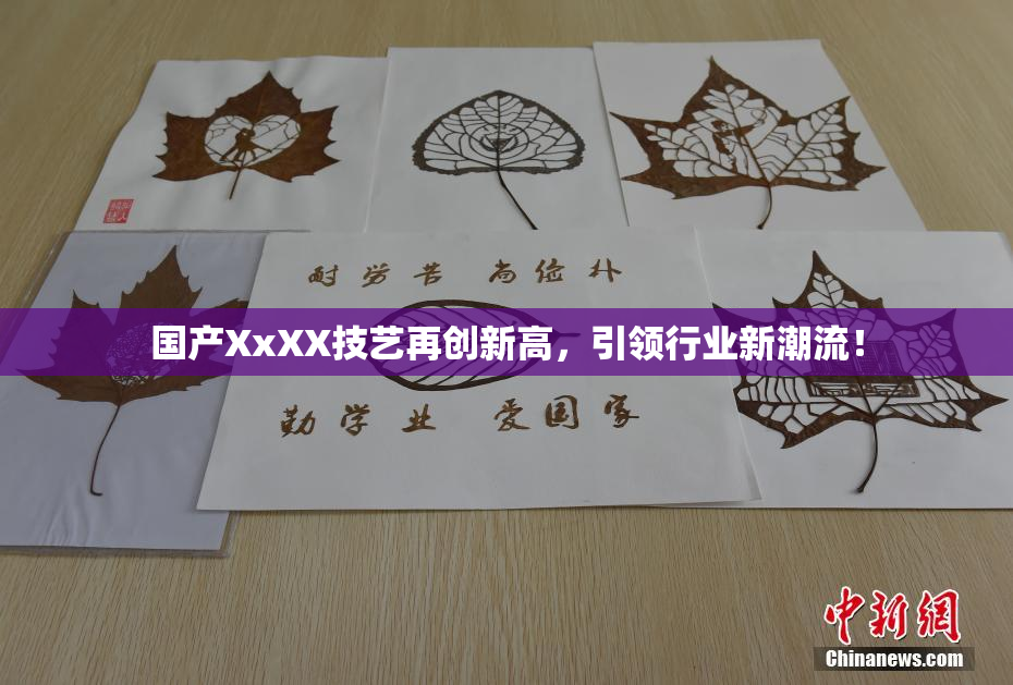 国产XxXX技艺再创新高，引领行业新潮流！