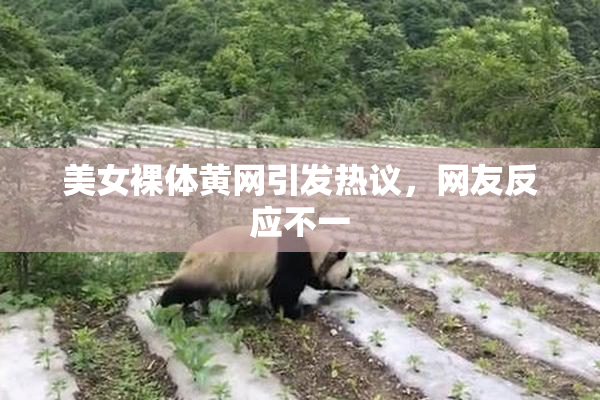 美女裸体黄网引发热议，网友反应不一