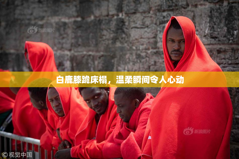 白鹿膝跪床榻，温柔瞬间令人心动