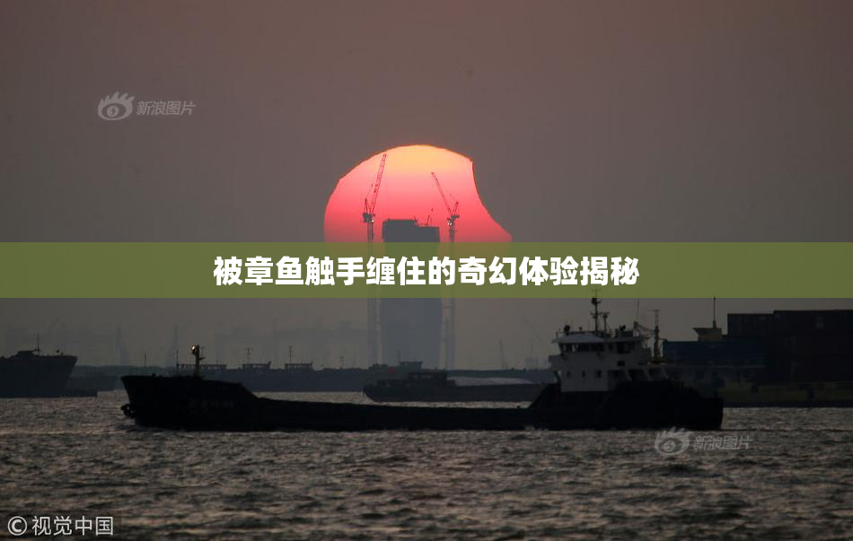 被章鱼触手缠住的奇幻体验揭秘