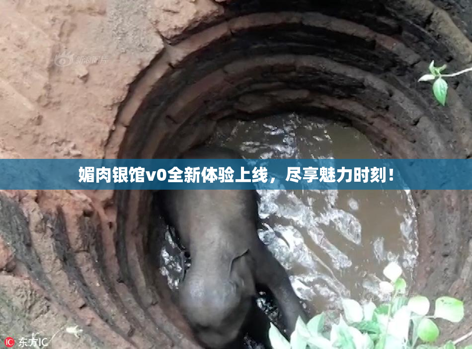 媚肉银馆v0全新体验上线，尽享魅力时刻！
