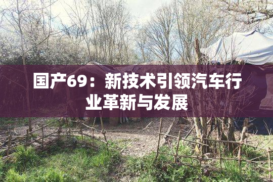 国产69：新技术引领汽车行业革新与发展
