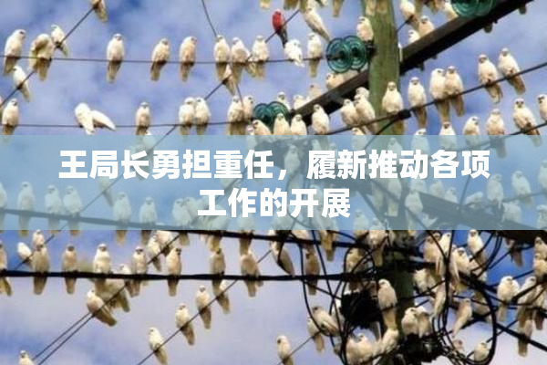 王局长勇担重任，履新推动各项工作的开展