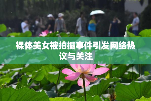 裸体美女被拍摄事件引发网络热议与关注