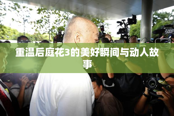 重温后庭花3的美好瞬间与动人故事
