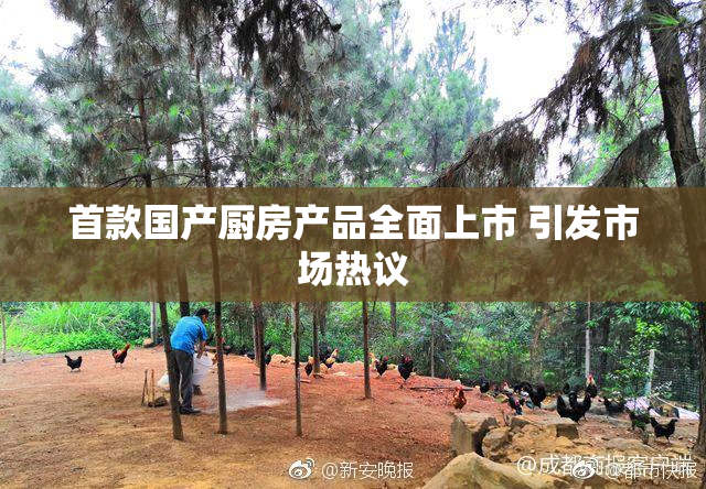 首款国产厨房产品全面上市 引发市场热议