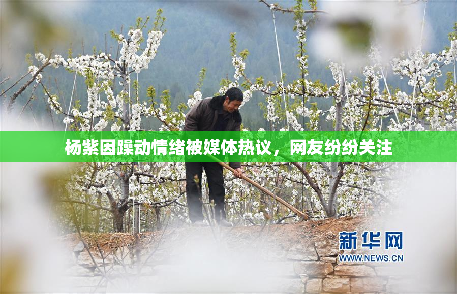 杨紫因躁动情绪被媒体热议，网友纷纷关注