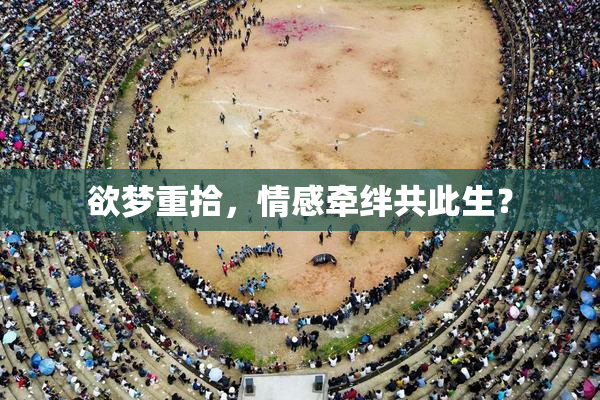 欲梦重拾，情感牵绊共此生？