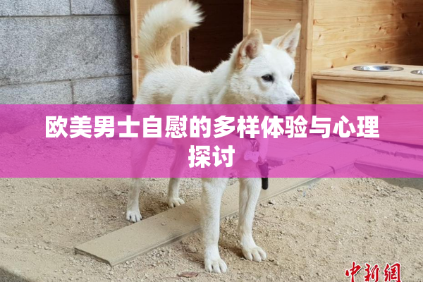 欧美男士自慰的多样体验与心理探讨