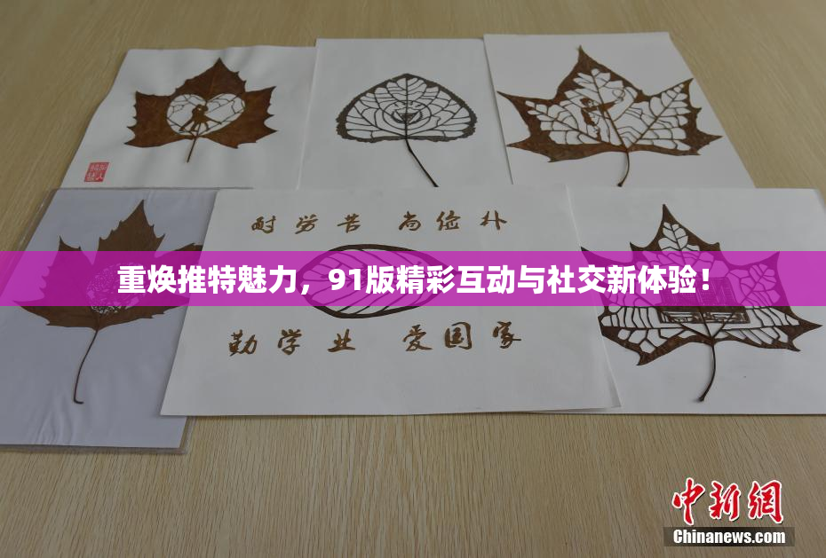 重焕推特魅力，91版精彩互动与社交新体验！