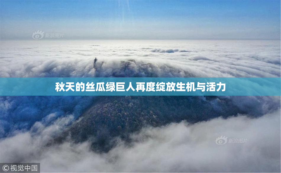 秋天的丝瓜绿巨人再度绽放生机与活力