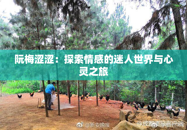 阮梅涩涩：探索情感的迷人世界与心灵之旅