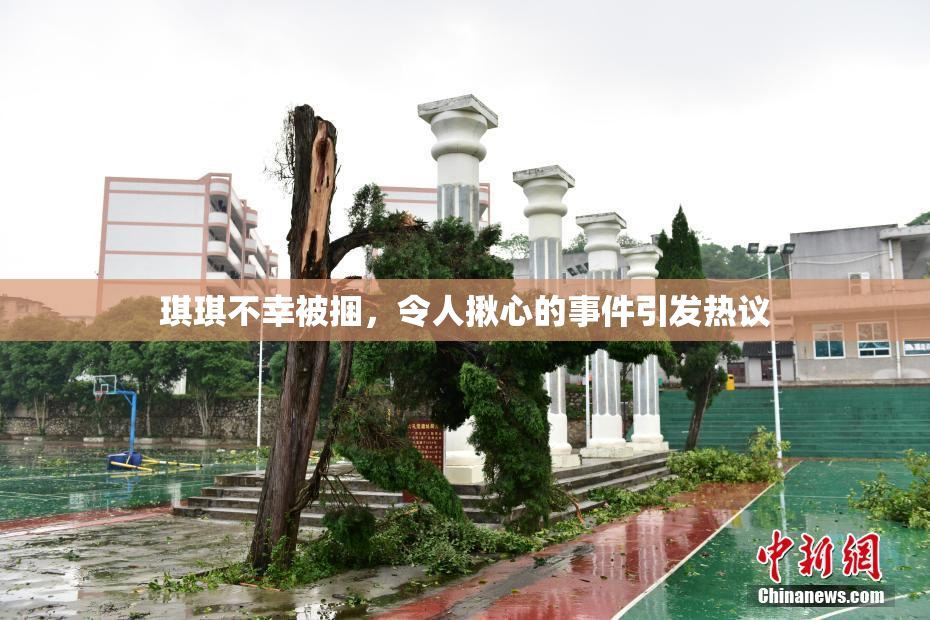 琪琪不幸被捆，令人揪心的事件引发热议