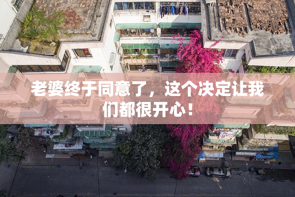 老婆终于同意了，这个决定让我们都很开心！
