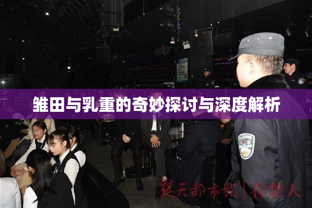 雏田与乳重的奇妙探讨与深度解析