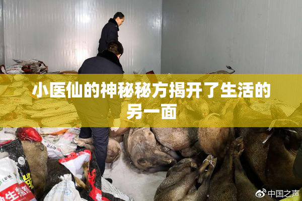 小医仙的神秘秘方揭开了生活的另一面