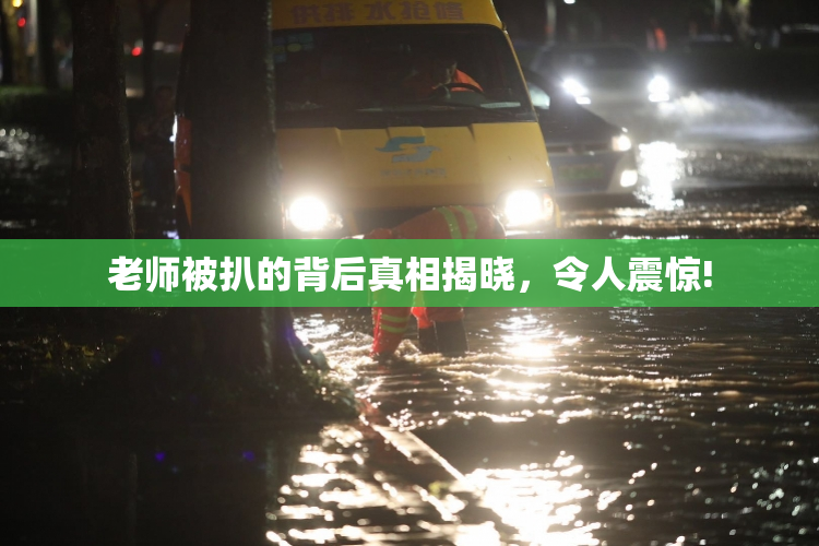 老师被扒的背后真相揭晓，令人震惊!