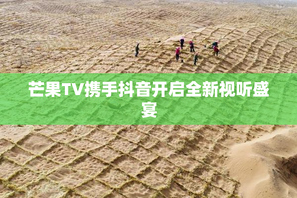 芒果TV携手抖音开启全新视听盛宴