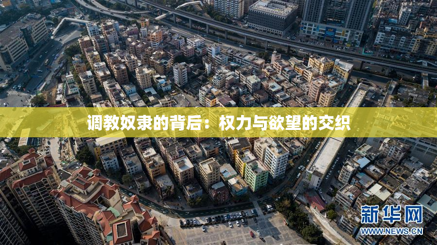 调教奴隶的背后：权力与欲望的交织