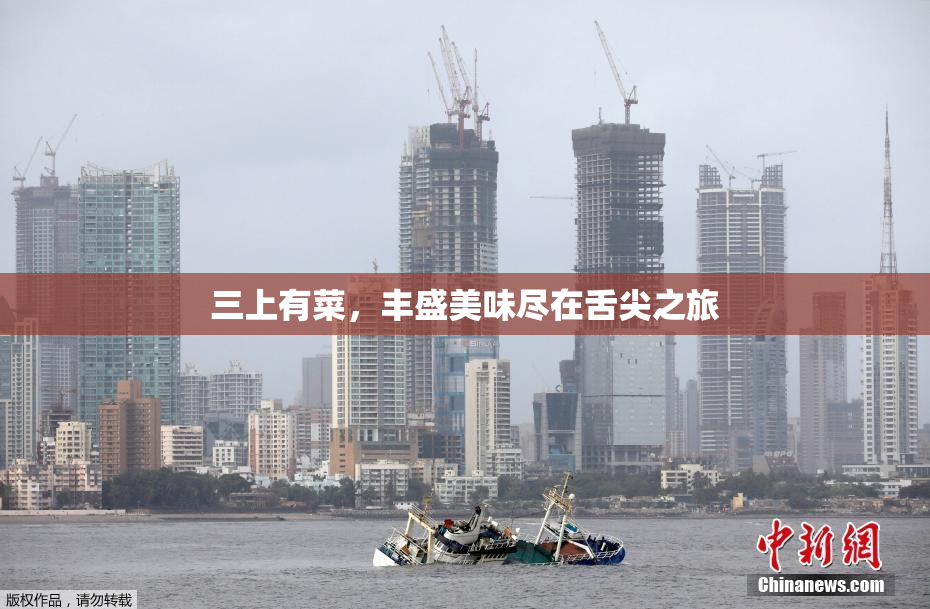 三上有菜，丰盛美味尽在舌尖之旅