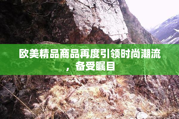 欧美精品商品再度引领时尚潮流，备受瞩目