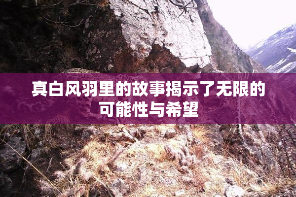 真白风羽里的故事揭示了无限的可能性与希望
