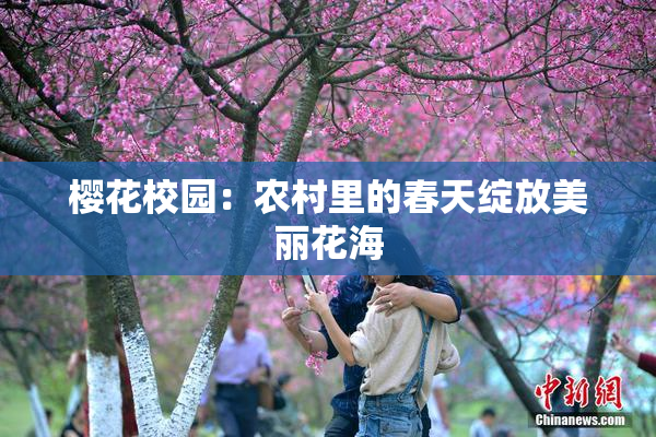 樱花校园：农村里的春天绽放美丽花海