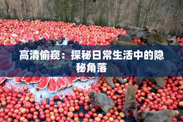 高清偷窥：探秘日常生活中的隐秘角落