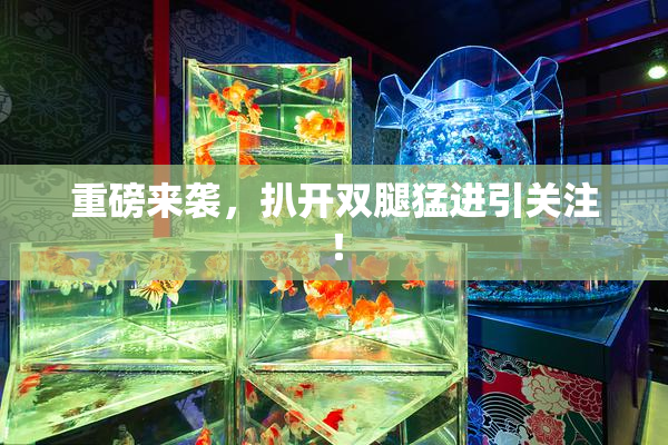 重磅来袭，扒开双腿猛进引关注！