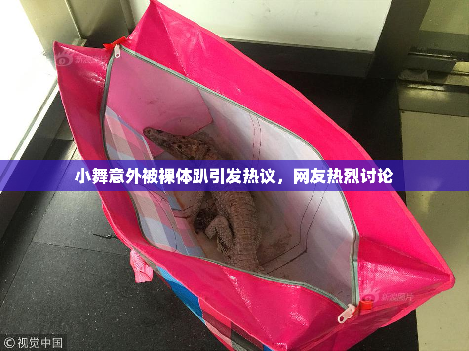 小舞意外被裸体趴引发热议，网友热烈讨论