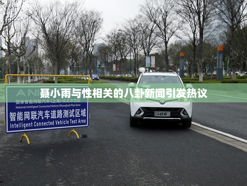 聂小雨与性相关的八卦新闻引发热议