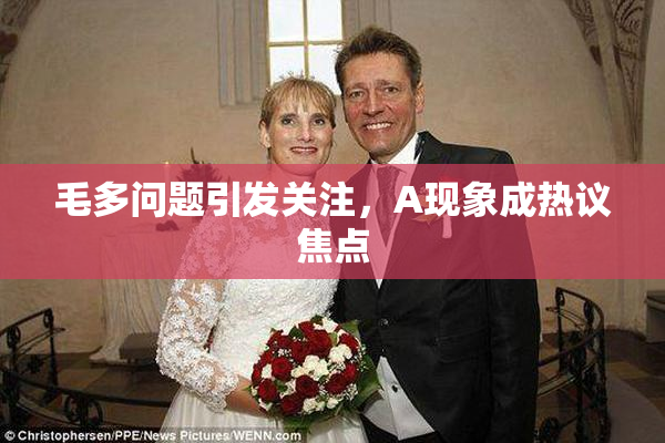 毛多问题引发关注，A现象成热议焦点