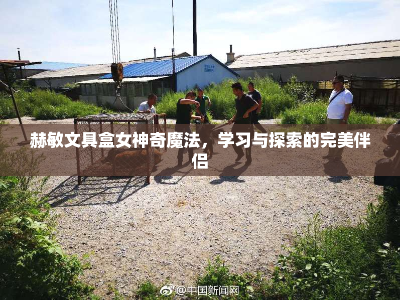 赫敏文具盒女神奇魔法，学习与探索的完美伴侣