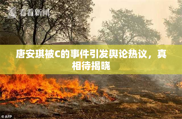唐安琪被C的事件引发舆论热议，真相待揭晓