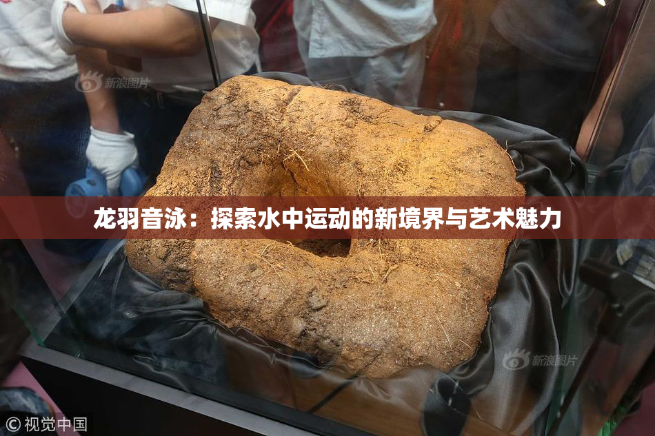 龙羽音泳：探索水中运动的新境界与艺术魅力