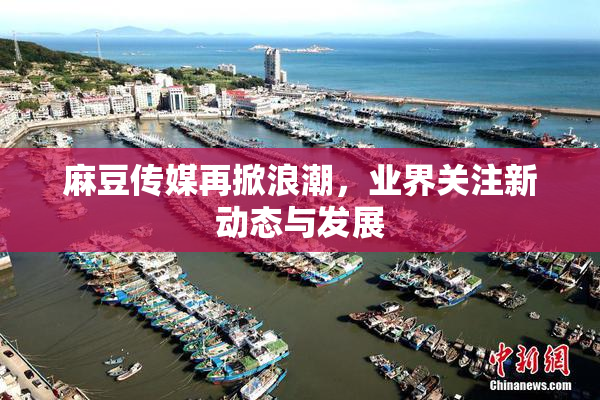 麻豆传媒再掀浪潮，业界关注新动态与发展