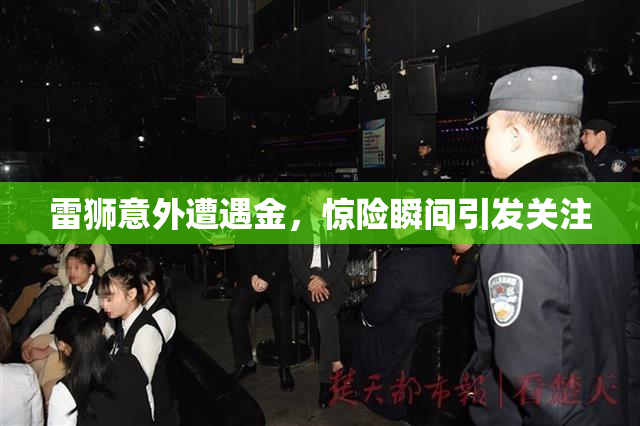 雷狮意外遭遇金，惊险瞬间引发关注