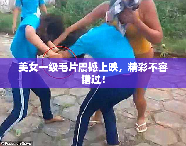 美女一级毛片震撼上映，精彩不容错过！