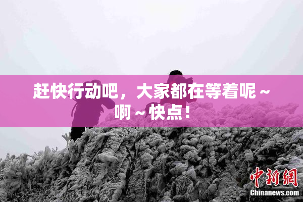 赶快行动吧，大家都在等着呢～啊～快点！