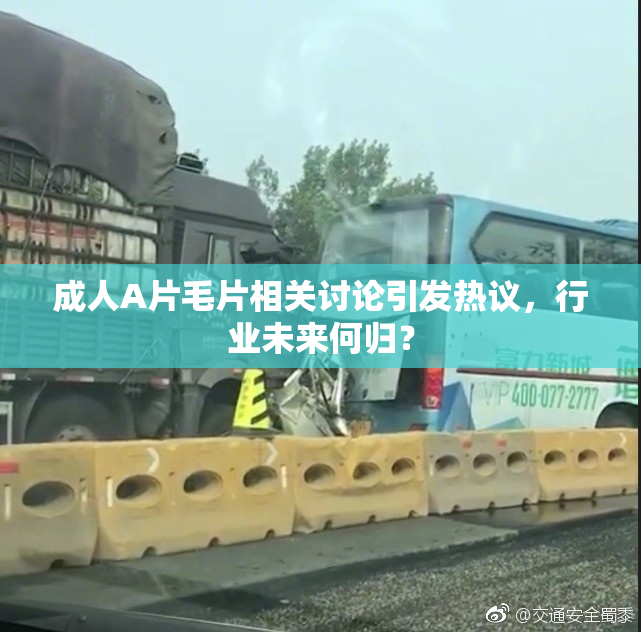 成人A片毛片相关讨论引发热议，行业未来何归？