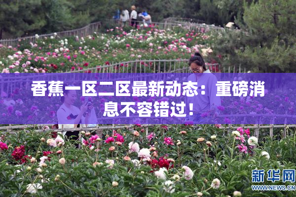 香蕉一区二区最新动态：重磅消息不容错过！