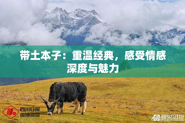 带土本子：重温经典，感受情感深度与魅力