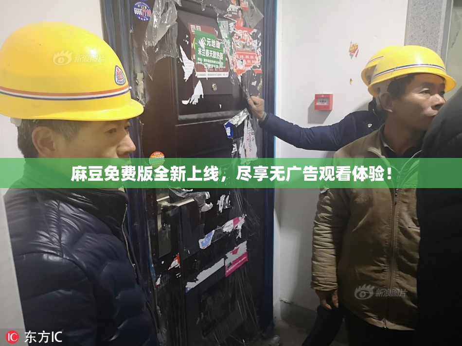 麻豆免费版全新上线，尽享无广告观看体验！